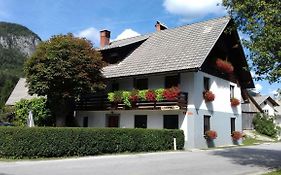 Apartma Pr Gatej